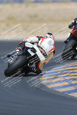 media/May-13-2023-SoCal Trackdays (Sat) [[8a473a8fd1]]/Turn 11 Backside (945am)/